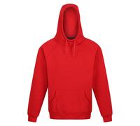 Regatta Professional - Sweat à capuche - Homme (RG9268)