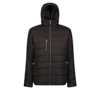Regatta Professional - Veste matelassée - Homme (RG9401)