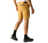 Regatta Short Anti-insect Travel Light