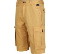 Regatta Short Cargo pour homme Shorebay look vintage RG4167 (W33) (Gris argenté)