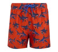 Regatta - Short de bain motif/style requin SKANDER - Garçon
