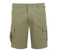 Regatta - Short décontracté RUWAN - Homme (RG10931)