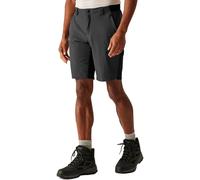 Regatta Eldes Shorts Gris 32 Homme