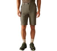Regatta Short Highton Ii