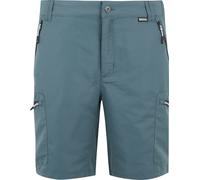 Regatta - Short "Leesville III" pour hommes RG11406 (54 DE R) (temps de tempête)