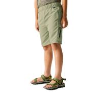 Regatta - Kid's Sorcer Shorts III - Short - 13 Years - light sage
