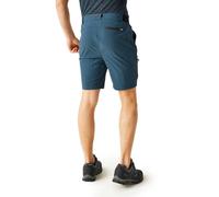 Regatta Short Travel Light