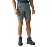 Regatta Short Xert Stretch Iii