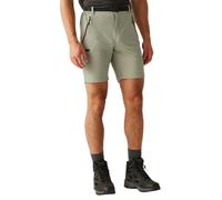 Regatta Short Xert Stretch Iii