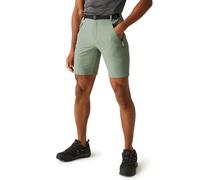 Regatta Short Xert Stretch Iii