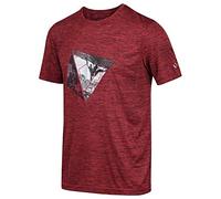 Regatta T-Shirt Technique Sport Manches Courtes Fingal V Léger, Respirant et Sèche Rapidement T-Shirts/Polos/Vests Homme Burnt Salmon FR: 3XL (Taille Fabricant: XXXL)