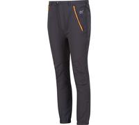 Regatta Tech Mountain Walking Trousers SlGry(AprCr) 7-8 (S) Male