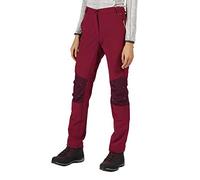 Regatta Technique Déperlant Questra II avec Membrane Coupe-Vent et Matière Stretch Extensible Pantalon Femme Trousers