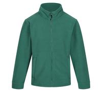 Regatta Thor 300 - Veste polaire - Homme (RG1533)