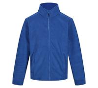 Regatta Thor 300 - Veste polaire - Homme (RG1533)