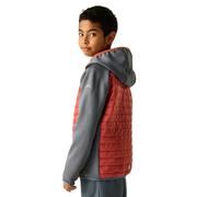 Regatta - Kid's Junior Andreson Hybrid - Veste hybride - 10-11 Years - dark storm / brick