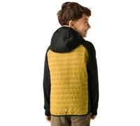 Regatta Veste Andreson