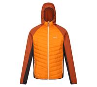 Regatta - Veste hybride ANDRESON - Homme (RG9449)