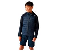 Regatta Veste hybride Kielder IX pour enfant avec empiècements Extol Stretch et isolation synthétique Warmloft Down Touch, parfaite pour la randonnée, la marche et les activités de plein air