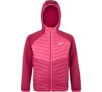 Regatta - Veste hybride "Kielder VIII" pour enfants RG9921 (158) (Rose/rose vif)