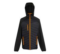 Regatta - Veste hybride NAVIGATE - Homme (RG9341)