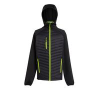 Regatta - Veste hybride NAVIGATE - Homme (RG9341)