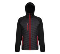 Regatta - Veste hybride NAVIGATE - Homme (RG9341)