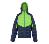 Regatta - Veste isolante DALENT - Homme (RG11135)