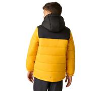 Regatta Veste Lofthouse