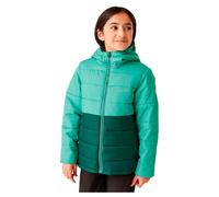 Regatta Veste Lofthouse Viii
