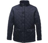 Regatta Professional - Veste - Homme (RG3116)