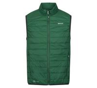 Regatta - Veste sans manches HILLPACK - Homme (RG6536) UTRG6536_61