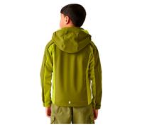 Regatta Veste Softshell Acidity Viii
