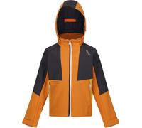 Regatta - Veste softshell "Haydenbury" pour enfants RG9090 (164) (Poivre orange/gris moyen)