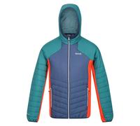 Regatta - Veste softshell TRUTTON - Homme (RG8035)