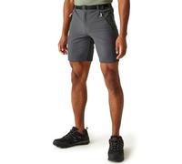 Regatta Xert III Shorts Homme
