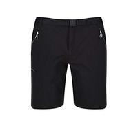 Regatta Xert III - Shorts - Short Chino - Homme