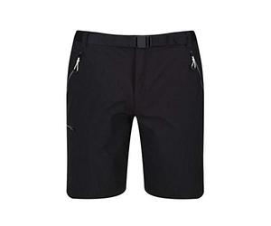 Regatta Xert III - Shorts - Short Chino - Homme