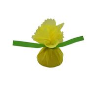 Regency Citron Wraps avec des Rubans pour Couvrir Citron moitiés Graines de Garder au Dehors de la Nourriture, Lot de 12