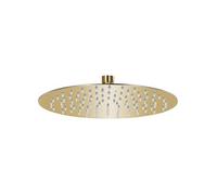 Regendouchekop rond 25 cm roestvrij staal goudkleurig147704