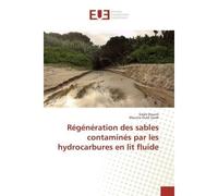 Regeneration des sables contamines par les hydrocarbures en lit fluide - Salah Dounit - Universitaires Europeennes - broché - Essai