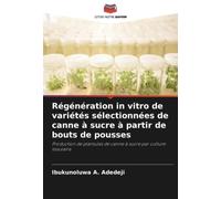 Régénération in vitro de variétés sélectionnées de canne à sucre à partir de bouts de pousses: Production de plantules de canne à sucre par culture tissulaire