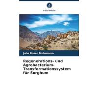 Regenerations- und Agrobacterium-Transformationssystem für Sorghum