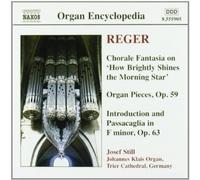 Reger, M. – Oeuvre pour Orgue, Vol. 4 – NAXOS – Import
