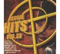 Reggae Hits Vol.22: in The Mix-DJ Village [UK Import]