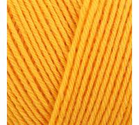 Regia Premium Pure 100 g 0020 Tournesol