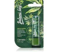 Regina Jelení lůj Cannabis pommade à l'huile de chanvre 4.5 g