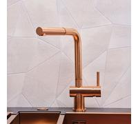 Reginox Cedar Mitigeur de cuisine pivotant avec douchette extractible, R38789,