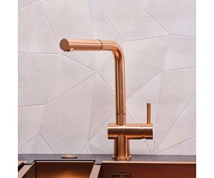 Reginox Cedar Mitigeur de cuisine pivotant avec douchette extractible, R38789,