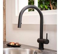 Reginox Flint Mitigeur de cuisine pivotant avec douchette extractible, R37416,